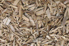 biomass boilers Torphichen
